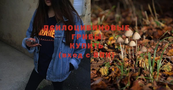 кристаллы Бородино