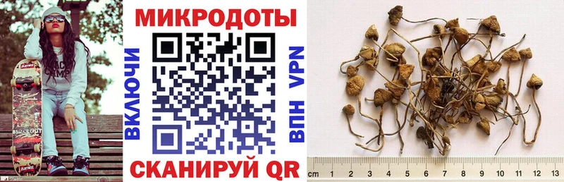 Галлюциногенные грибы прущие грибы  Геленджик 